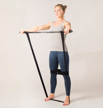 Load image into Gallery viewer, Swedish Posture  Mini Gym
